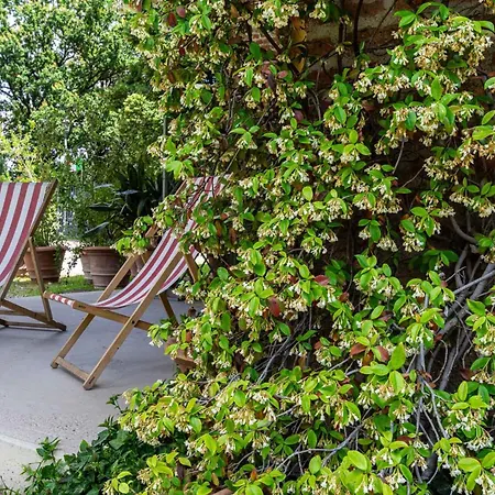 Cascina Gaggioli Gospodarstwo agroturystyczne Mediolan